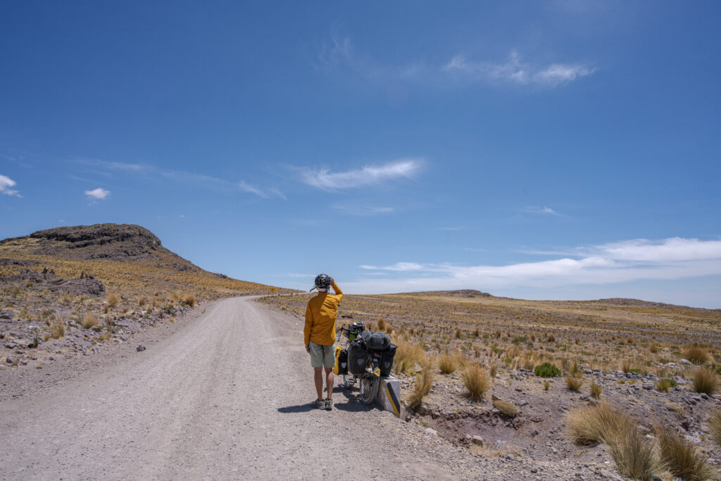 20241117 dsc05198 強化 nr